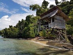 Di Sini Tempat Terbaik Melihat Paus