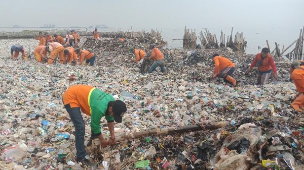 Foto: Berjibaku Gempur Sampah di Teluk Jakarta