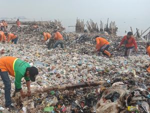 Foto: Berjibaku Gempur Sampah di Teluk Jakarta