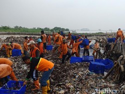 5 Jam Petugas Berjibaku, 9 Ton Sampah di Teluk Jakarta Diangkut