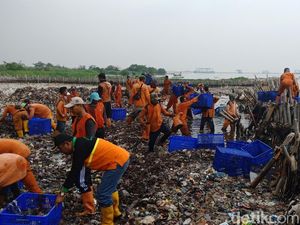5 Jam Petugas Berjibaku, 9 Ton Sampah di Teluk Jakarta Diangkut 5 Jam Petugas Berjibaku, 9 Ton Sampah di Teluk Jakarta Diangkut
