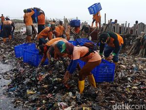 Personel dan Alat Berat Ditambah Angkat Sampah Teluk Jakarta Personel dan Alat Berat Ditambah Angkat Sampah Teluk Jakarta