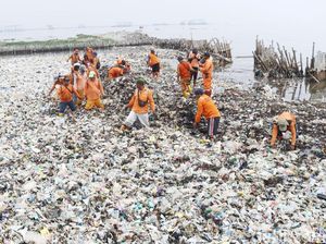Susah Payah Bersihkan Sampah Setebal 1 Meter di Teluk Jakarta Susah Payah Bersihkan Sampah Setebal 1 Meter di Teluk Jakarta