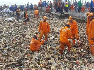 Pembersihan Teluk Jakarta Dilanjut Pagi Ini, Begini Kondisinya Pembersihan Teluk Jakarta Dilanjut Pagi Ini, Begini Kondisinya