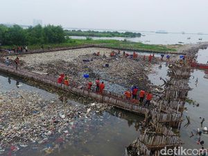 Berton-ton Sampah Diangkut dari Teluk Jakarta Berton-ton Sampah Diangkut dari Teluk Jakarta