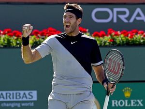 Del Potro Tantang Federer di Final