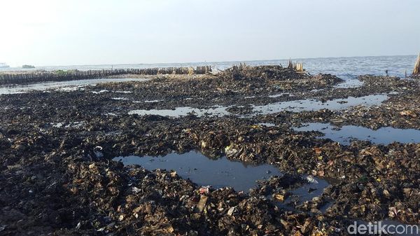 Foto Hari ke-2 Hasil Pembersihan Sampah di Teluk Jakarta