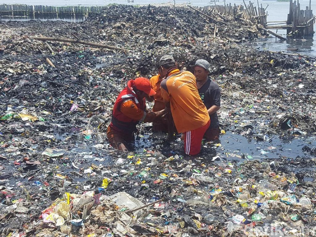 Kedalaman Sampah di Teluk Jakarta Capai 3 Meter Kedalaman Sampah di Teluk Jakarta Capai 3 Meter