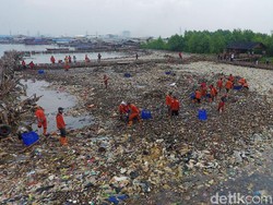 Cegah Sampah, Kawasan Mangrove Teluk Jakarta akan Dipagari Jaring