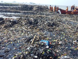 Petugas Angkut 85 Ton Sampah dari Teluk Jakarta Selama 4 Hari
