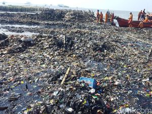 Sampah di Jakarta Utara: dari Penjaringan Hingga Pantai Marunda Sampah di Jakarta Utara: dari Penjaringan Hingga Pantai Marunda
