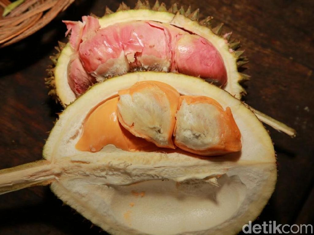 9 Jenis Durian di Jatim Ini Enaknya Kebangetan, Wajib Dicoba