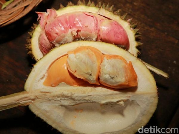 Kamu yang Suka Durian Harus ke Sini, Nggak Nyesel!