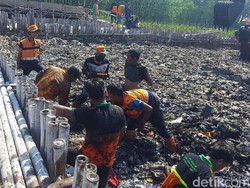 Ini Cara Pemprov DKI Jakarta Cegah Sampah Masuk Teluk Jakarta