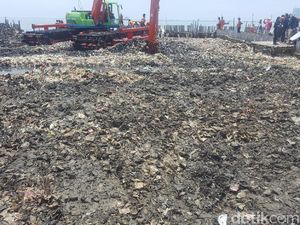 Foto: Sampah di Teluk Jakarta Kini Campur Lumpur Foto: Sampah di Teluk Jakarta Kini Campur Lumpur