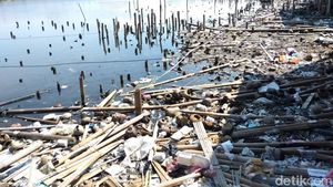Foto: Pantai Marunda yang Penuh Sampah