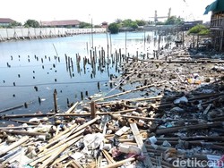 Sampah Berserakan Juga Ada di Pantai Marunda