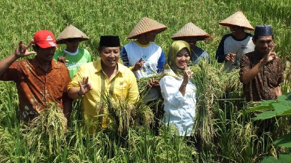 Arinal-Nunik Sapa Petani