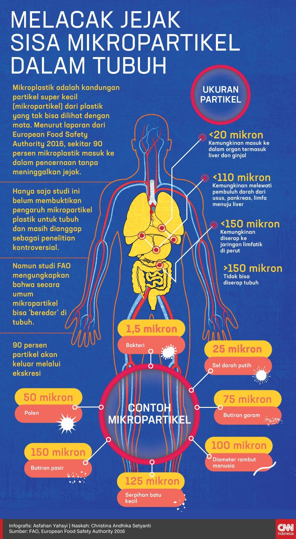 Infografis Melacak Jejak Sisa Mikropartikel dalam Tubuh