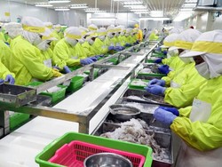 Ada Perbedaan Tarif Bea Masuk Udang RI ke AS, Picu Persaingan Usaha Tidak Sehat