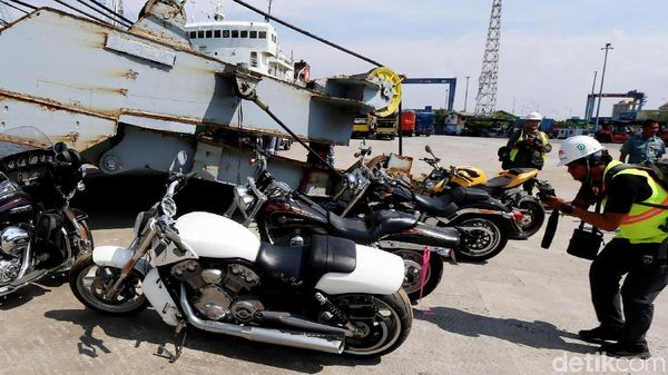 8 Moge Milik Bupati Abdul Latif yang Disita KPK