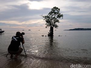 Jangan Dibuang! Buku Panduan Kamera Kunci Memotret Kece Jangan Dibuang! Buku Panduan Kamera Kunci Memotret Kece