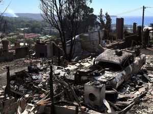 Parahnya Kebakaran Hutan di Australia