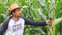 Potret Petani Aceh yang Tanggalkan Gaji Rp 75 Juta di World Bank