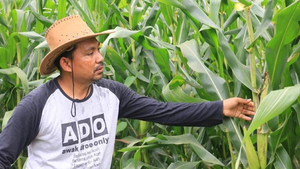 Potret Petani Aceh yang Tanggalkan Gaji Rp 75 Juta di World Bank