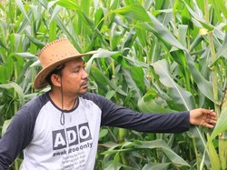 Tanggalkan Gaji Rp 75 Juta dan Berkebun, Mus Rekrut Eks Petani Ganja