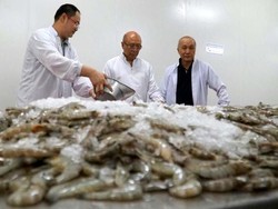 Udang dan Peluang Perhutanan Sosial