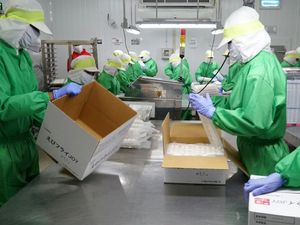AS cs Desak China Buka Kebijakan Impor Ikan asal Jepang AS cs Desak China Buka Kebijakan Impor Ikan asal Jepang