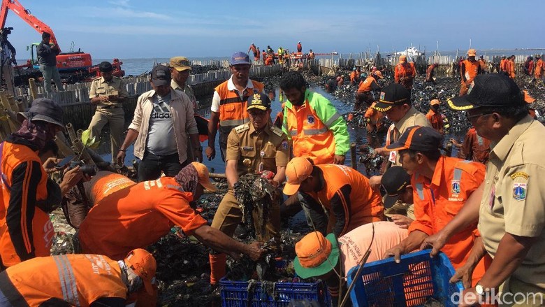 Tinjau Teluk Jakarta, Anies Ikut Ambil Sampah Pakai Tangan