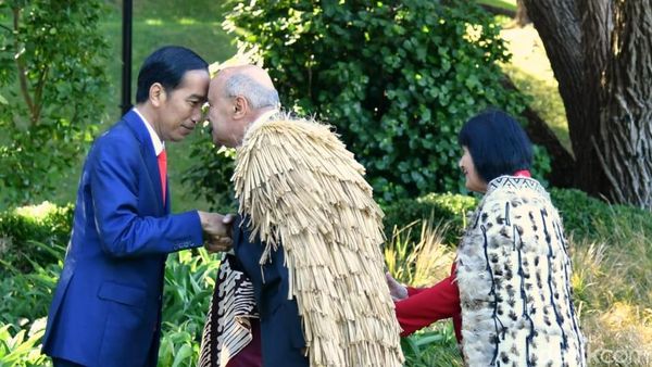Foto: Adu Hidung Jokowi dan Tetua Suku Selandia Baru