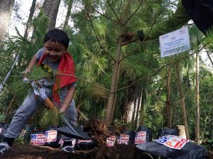 Peduli Lingkungan, BRI Tanam 123 Pohon Pinus