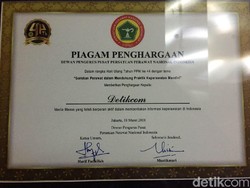 Suarakan Profesi Perawat, detikcom Terima Penghargaan dari PPNI