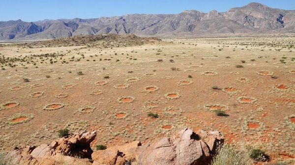 Potret Jejak Kaki Dewa di Afrika