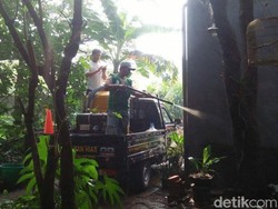 Ulat Bulu Masih Eksis usai Disemprot, Pemkot Siap Beraksi Lagi