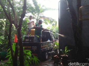 Ulat Bulu Masih Eksis usai Disemprot, Pemkot Siap Beraksi Lagi Ulat Bulu Masih Eksis usai Disemprot, Pemkot Siap Beraksi Lagi
