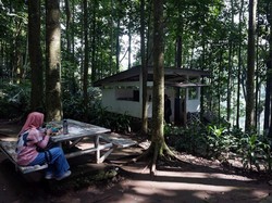 Mau Wisata Alam Seru di Bandung? Cobain Deh ke Sini!