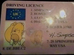 Ditilang, Pengendara Ini Malah Tunjukkan SIM The Simpsons