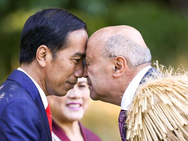 Foto: Adu Hidung Jokowi di Sumba dan Selandia Baru