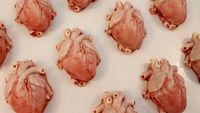 Bikin Geleng Kepala, Cake Buatan Mantan Suster Ini Persis Organ Asli!