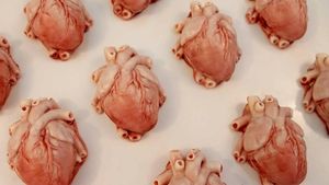 Bikin Geleng Kepala, Cake Buatan Mantan Suster Ini Persis Organ Asli!