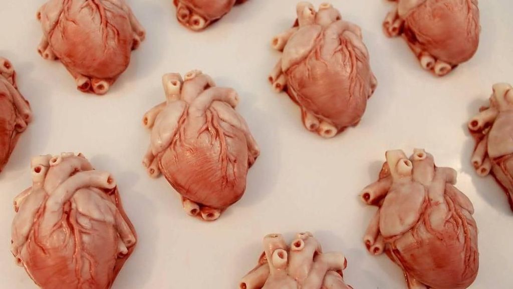 Bikin Geleng Kepala, Cake Buatan Mantan Suster Ini Persis Organ Asli! Bikin Geleng Kepala, Cake Buatan Mantan Suster Ini Persis Organ Asli!