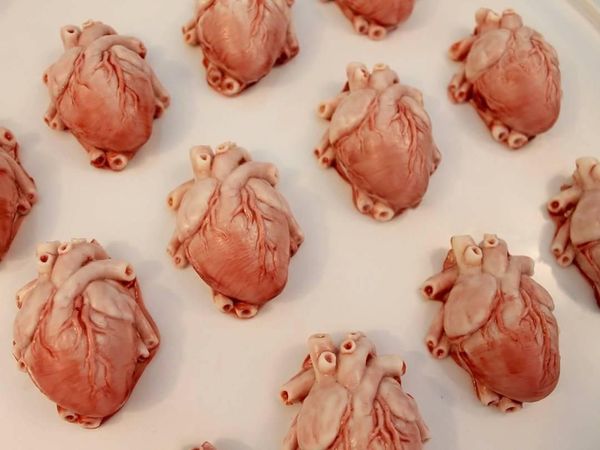 Bikin Geleng Kepala, Cake Buatan Mantan Suster Ini Persis Organ Asli!