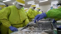 Ekspor Udang & Cengkeh RI ke AS Wajib Sertifikat Bebas Radiasi
