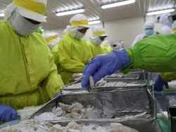 Ekspor Udang & Cengkeh RI ke AS Wajib Sertifikat Bebas Radiasi