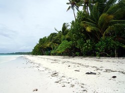 Ini Indonesia! Pantai Sepanjang 3 Km yang Pasirnya Sehalus Tepung