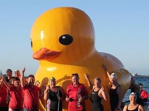 Bebek Karet Raksasa Ini Ditemukan Usai Sepekan Menghilang